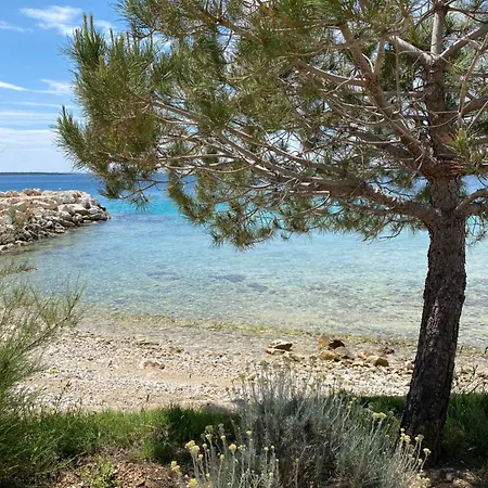 Apartmán Rd - Private Paradise With Pool & Beautiful Garden - Minimum 4-night *